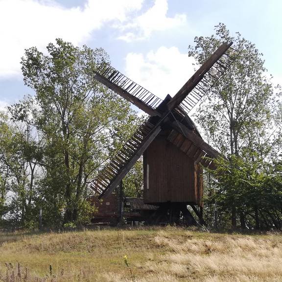 Windmühle Hohenwarthe