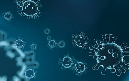 coronavirus © pixabay.com